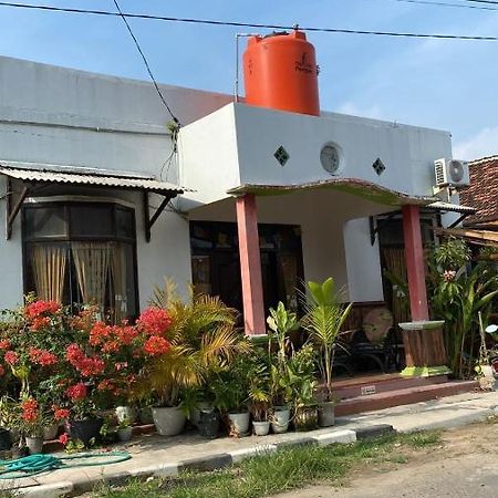Owl Hostel Karimunjawa Eksteriør billede