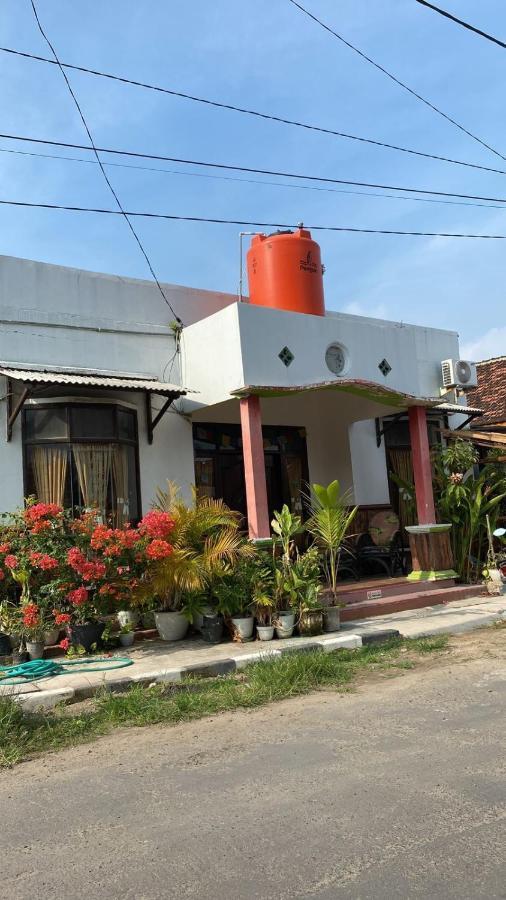 Owl Hostel Karimunjawa Eksteriør billede